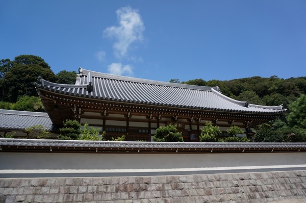 m_DSC00044.jpg