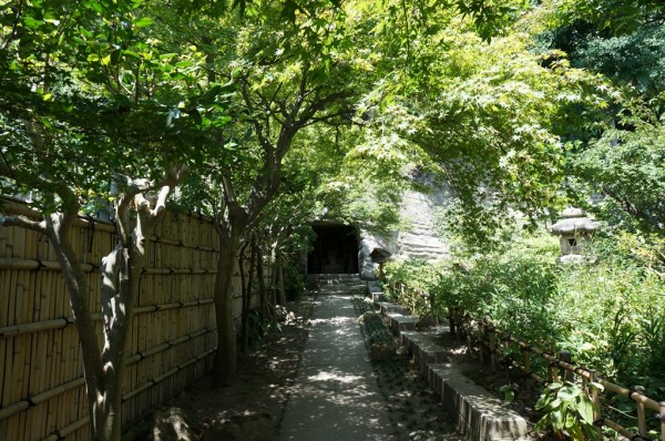 m_DSC00062.jpg