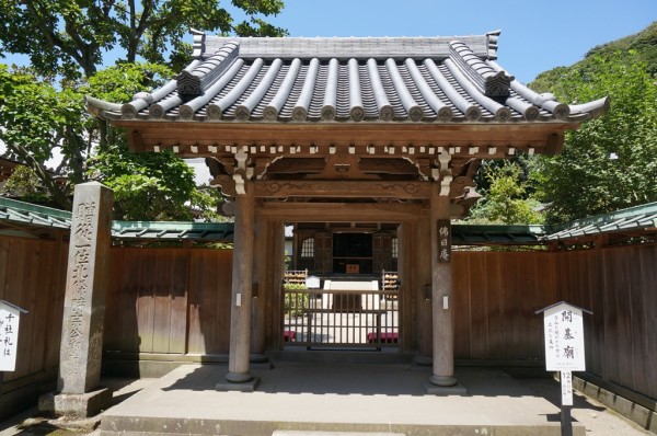 m_DSC00081.jpg