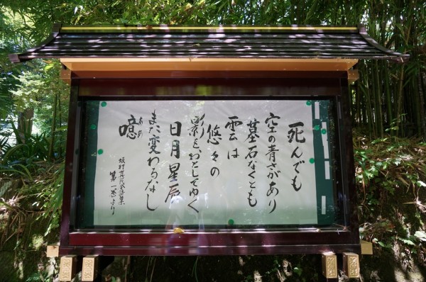 m_DSC00083.jpg