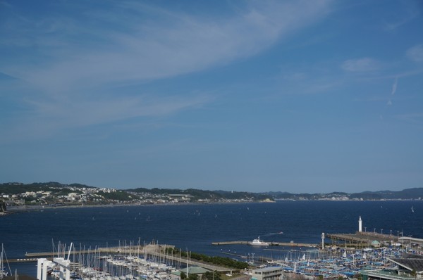 m_DSC00264.jpg
