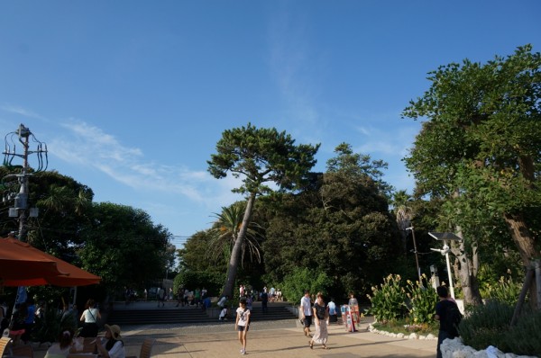 m_DSC00279.jpg