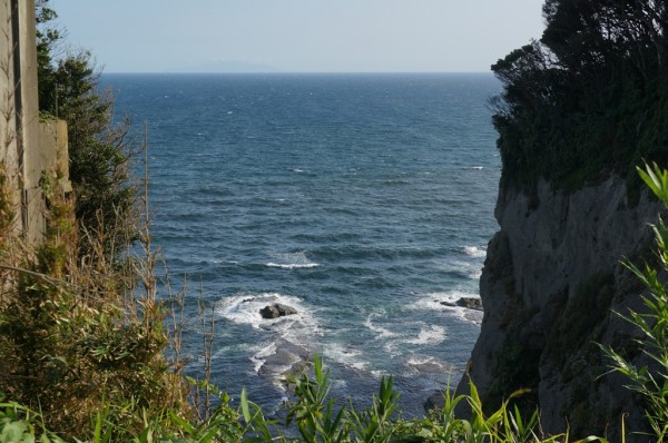 m_DSC00283.jpg