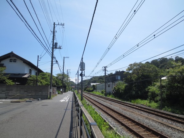 m_IMG_2686.jpg