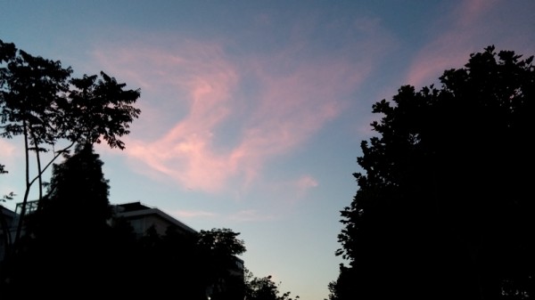 m_CAM00005