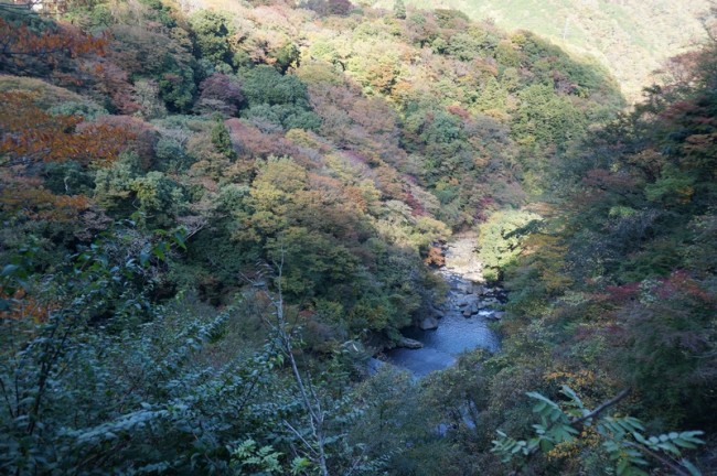 DSC00983_m