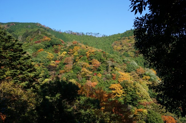 DSC01071_m.jpg