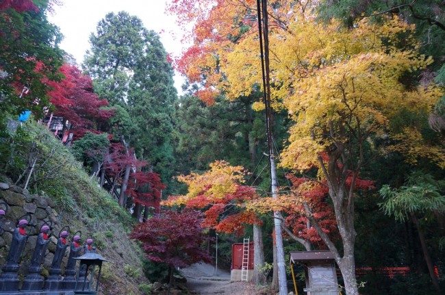 DSC01124_m.jpg