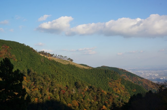 DSC01153_m.jpg