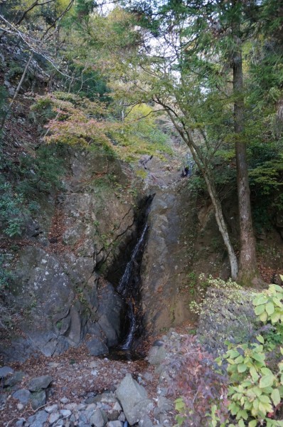 DSC01187_m.jpg