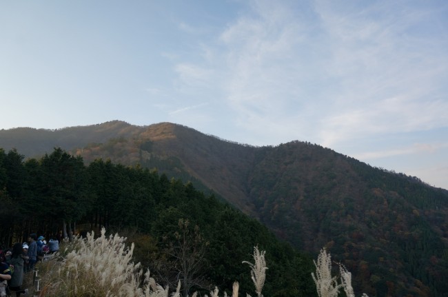 DSC01205_m.jpg