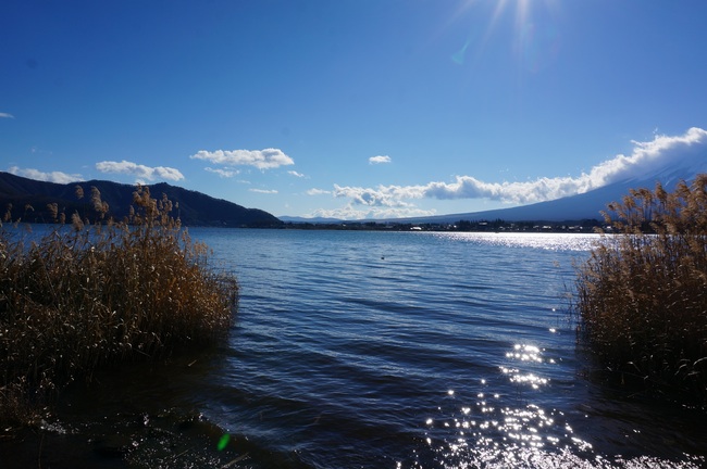 DSC01223_m