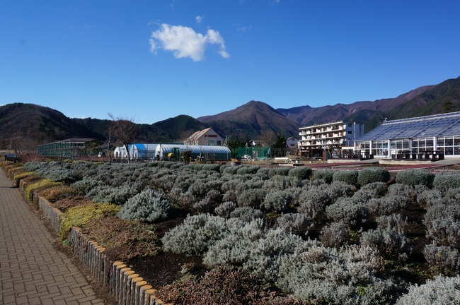 DSC01227_m