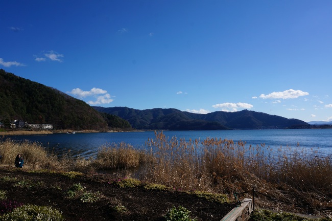 DSC01228_m