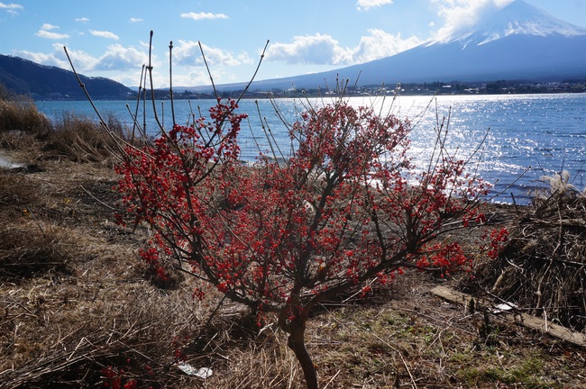 DSC01259_m