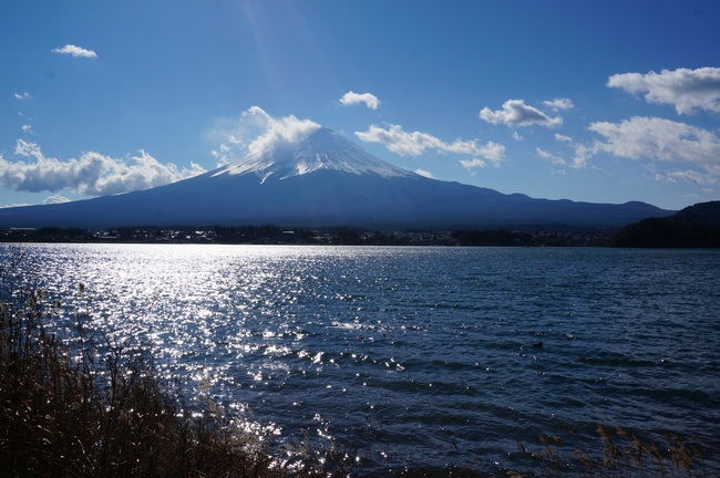 DSC01262_m