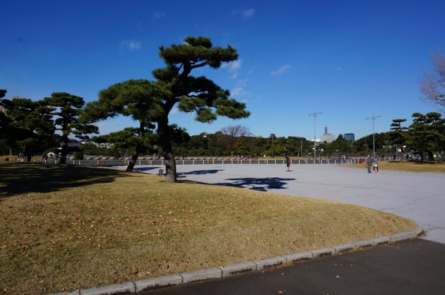 DSC01293_m.jpg