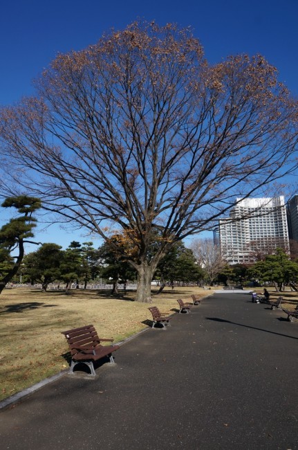DSC01295_m.jpg