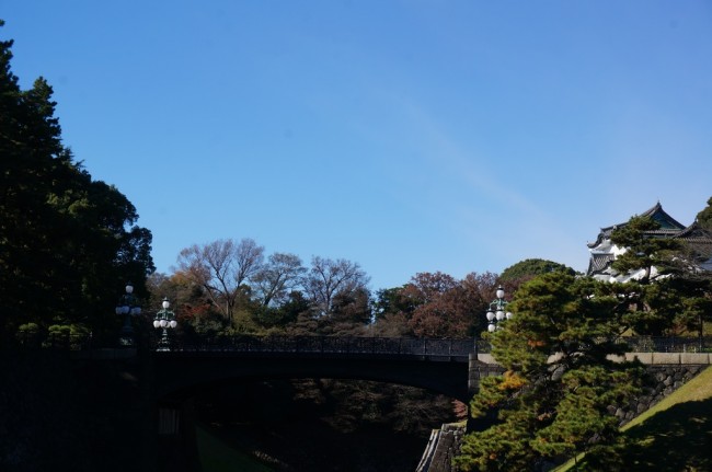 DSC01315_m.jpg