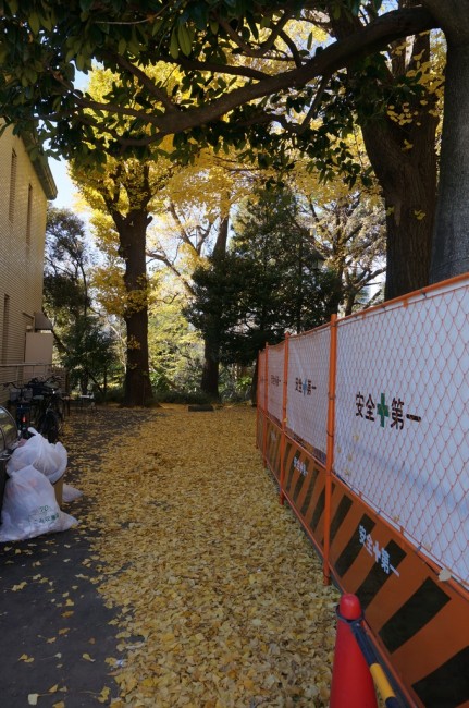 DSC01322_m.jpg