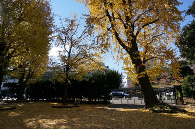 DSC01371_m.jpg