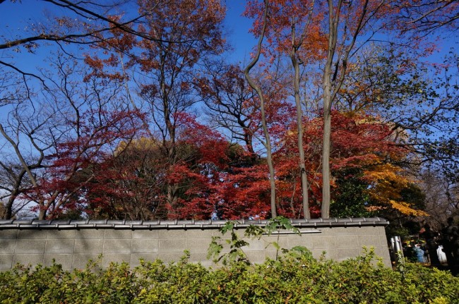 DSC01377_m.jpg