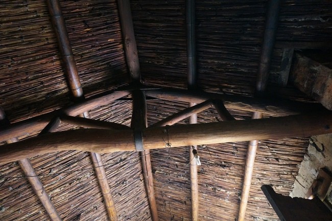 DSC02247_m