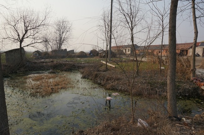 DSC02251_m