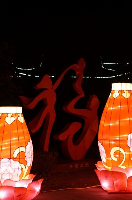 DSC02288_m